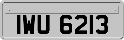 IWU6213