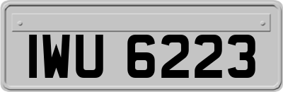 IWU6223