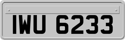 IWU6233