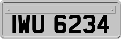 IWU6234