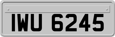 IWU6245