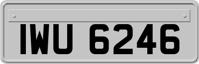 IWU6246