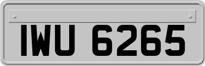 IWU6265