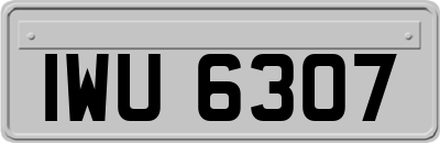 IWU6307