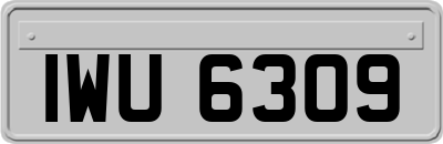IWU6309
