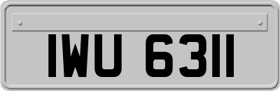 IWU6311