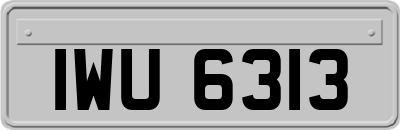 IWU6313
