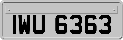 IWU6363