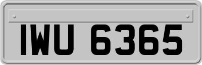 IWU6365