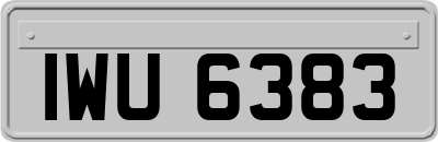 IWU6383