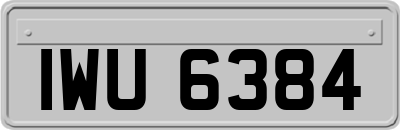 IWU6384