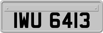 IWU6413