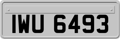 IWU6493