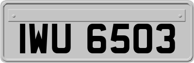IWU6503