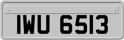 IWU6513