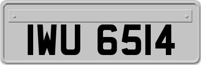 IWU6514