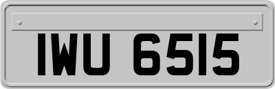 IWU6515