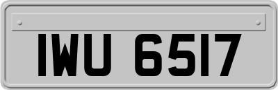IWU6517