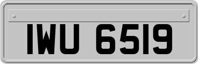 IWU6519