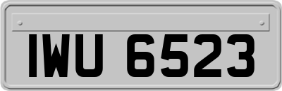 IWU6523