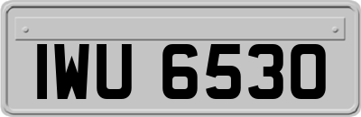 IWU6530