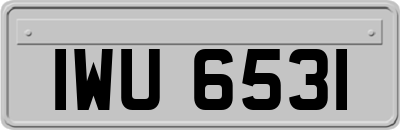 IWU6531