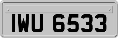 IWU6533