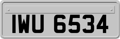 IWU6534