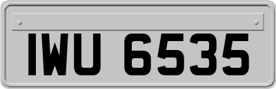 IWU6535