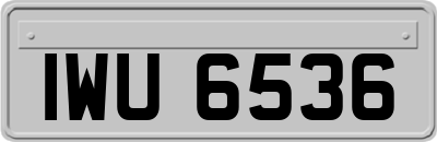 IWU6536