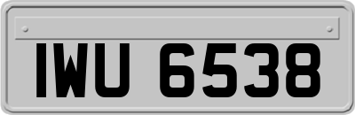 IWU6538