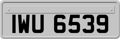 IWU6539