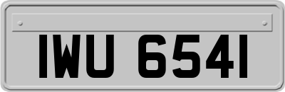 IWU6541
