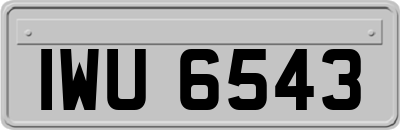 IWU6543