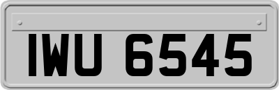 IWU6545