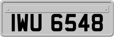 IWU6548