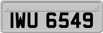 IWU6549