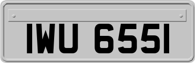 IWU6551