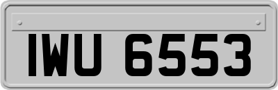 IWU6553