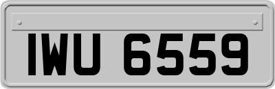 IWU6559