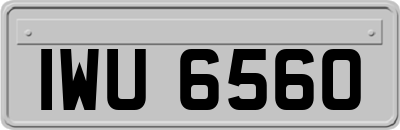 IWU6560