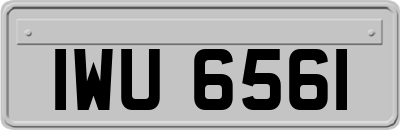 IWU6561