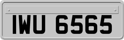 IWU6565