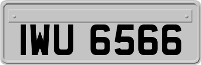 IWU6566