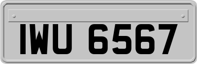 IWU6567