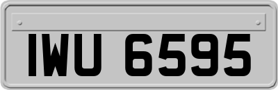 IWU6595