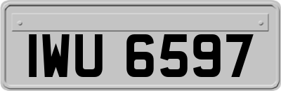 IWU6597