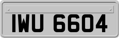 IWU6604