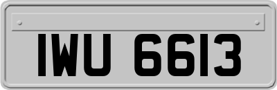 IWU6613