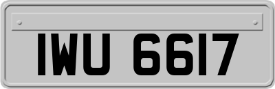 IWU6617